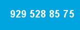 929 528 85 75 929 528 85 75
